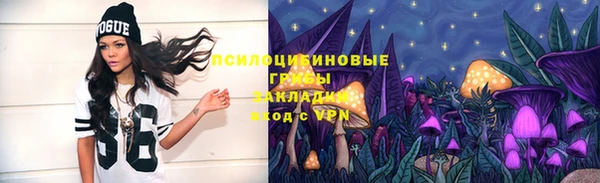 гашик Карталы