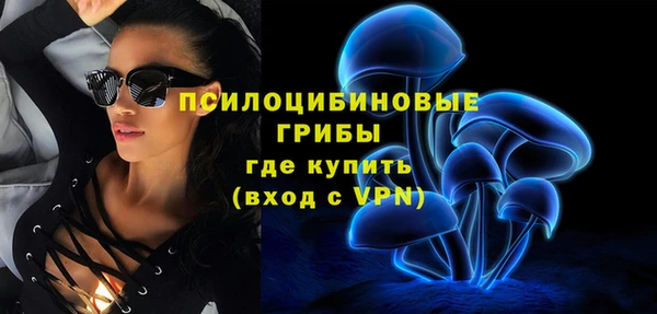 гашик Карталы