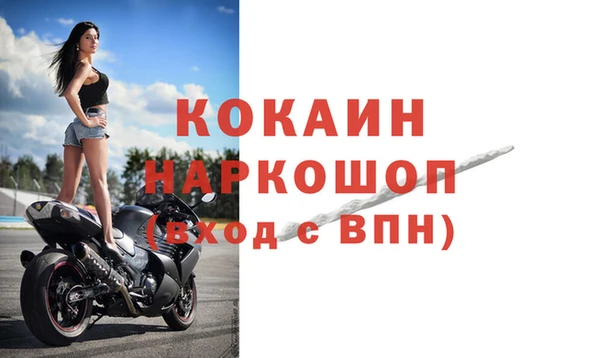 молекула духа Карпинск