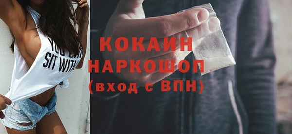 амф Заречный