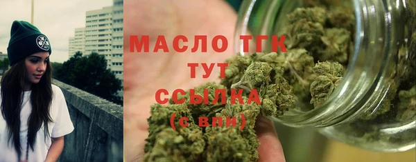 молекула духа Карпинск