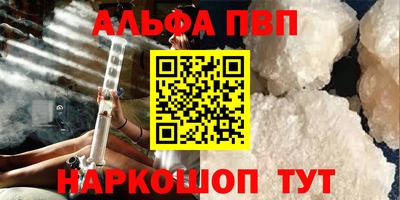 СК Кингисепп