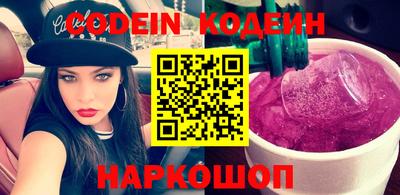 СК Кингисепп