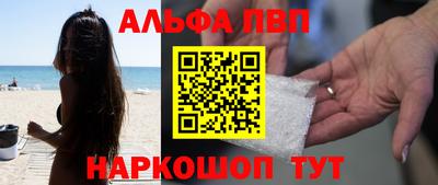 СК Кингисепп