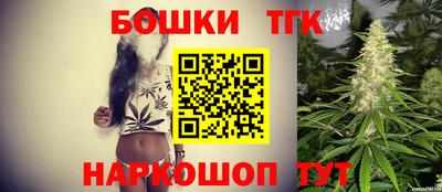 СК Кингисепп