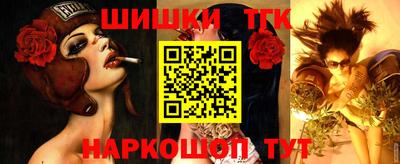 СК Кингисепп
