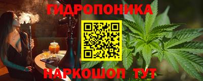 СК Кингисепп