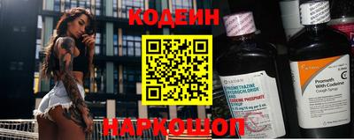 СК Кингисепп