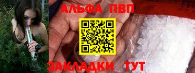 СК Кингисепп