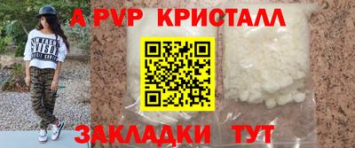 СК Кингисепп