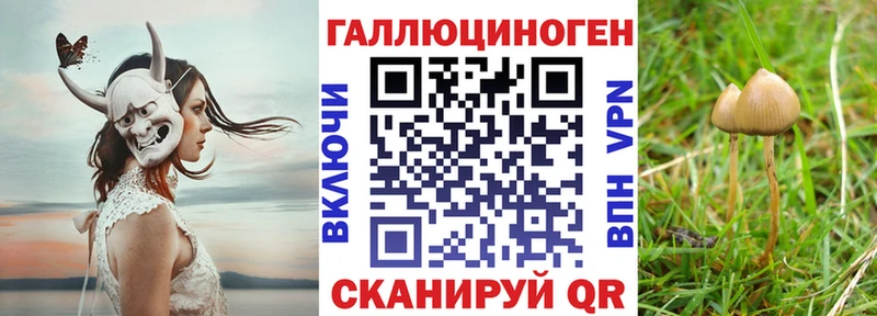 kraken маркетплейс  Кимры  Галлюциногенные грибы Cubensis 