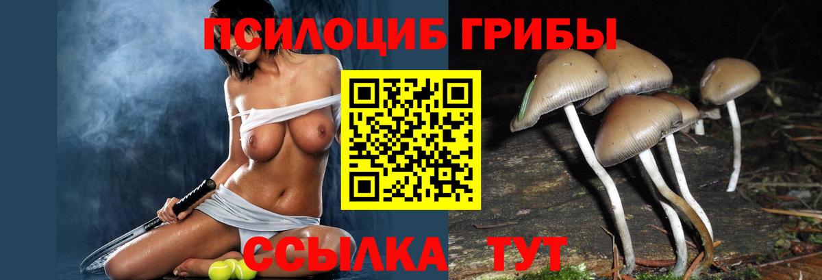 Галлюциногенные грибы MAGIC MUSHROOMS  Вход с VPN  Кимры 